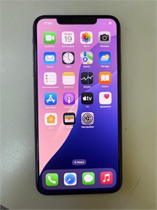 APPLE IPHONE XS MAX 64 ГБ 890000589861