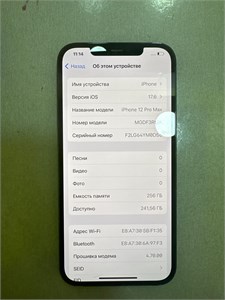 APPLE IPHONE 12 PRO MAX 256GB 890000596679