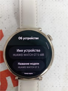 Часы HUAWEI WATCH GT 5 890000598846
