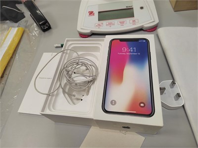 APPLE IPHONE X 64 ГБ 890000589052