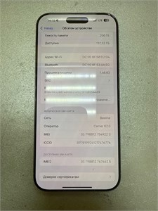 APPLE IPHONE 16 PRO MAX 256GB 890000600581