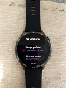 Умные часы HUAWEI WATCH GT 5 890000599704
