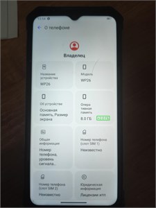 OUKITEL WP26 8/256 ГБ 890000604454