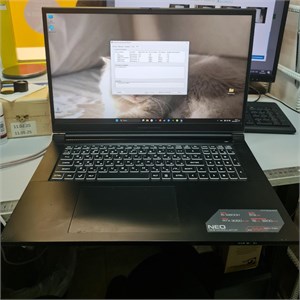 Игровой ноутбук ARDOR GAMING NEO N17-I5ND404  (i5 12600H, RTX 3050) 890000589914