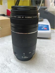 Объектив Canon EF 75-300mm f/4.0-5.6 III 890000610616