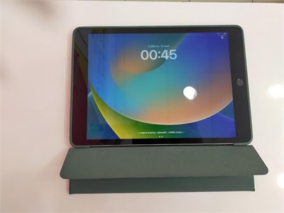 Планшет Apple iPad (9-го поколения) (2021) 890000609574
