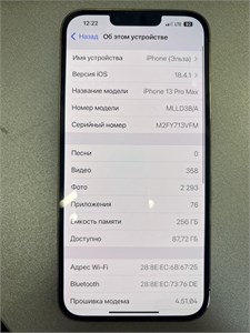 APPLE IPHONE 13 PRO MAX 256GB 890000610070