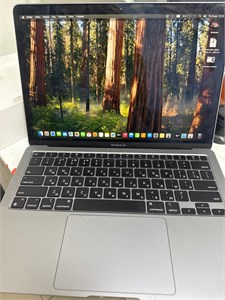 Ноутбук Apple MacBook Air 13 (2020, M1) 8/256 890000609372