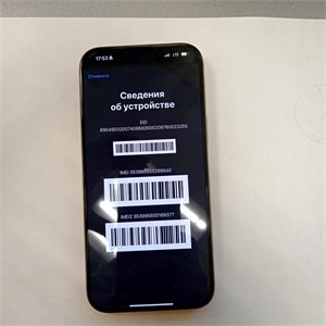Apple iPhone 16 Pro Max 256 890000598879
