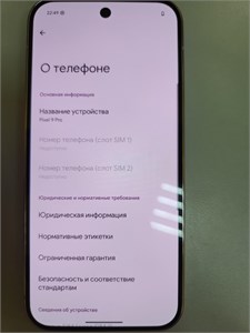 GOOGLE PIXEL 9 PRO 16/256 890000613033