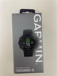 Смарт-часы Garmin Forerunner 45 890000615353