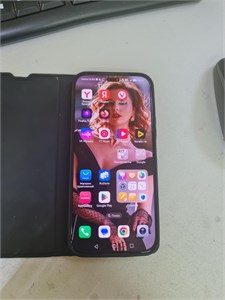 HONOR X8B 8/256GB 890000602647