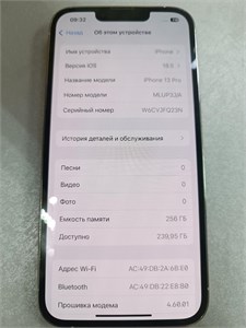APPLE IPHONE 13 PRO MAX 256GB 890000614660