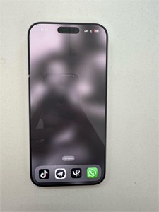 APPLE IPHONE 16 PRO MAX 256GB 890000618088