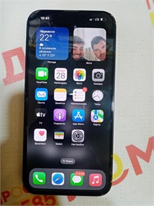 APPLE IPHONE 13 PRO MAX 256GB 890000616448