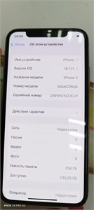 APPLE IPHONE X 256 ГБ 890000613206