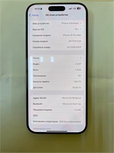 APPLE IPHONE 16 PRO MAX 256 ГБ 890000591580
