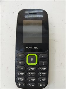 FONTEL FP100 890000621589