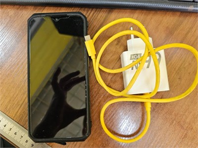 ULEFONE POWER ARMOR 19T 12/256 ГБ 890000614181