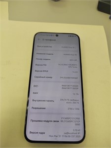 HUAWEI PURA 70 12/256 ГБ 890000617898