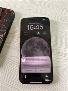 APPLE IPHONE 16 PRO MAX 1TB 890000624492