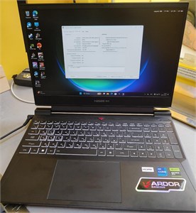 15.6" Ноутбук Hasee S8 D62654FH (i7-12650H RTX 4060) 890000629420