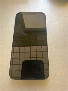 APPLE IPHONE 13 128 ГБ 890000624066