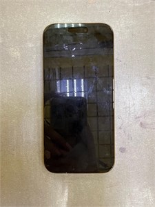 APPLE IPHONE 16 PRO 256 ГБ 890000631463