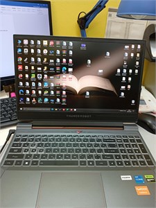Ноутбук игровой Thunderobot 911 X Wild Hunter G3 XD i5-13500H RTX 4050 890000631368