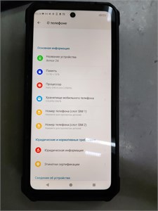 ULEFONE ARMOR 24 12/256 ГБ 890000628561