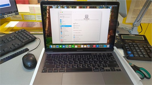 Ноутбук Apple MacBook Pro (13-inch, M2, 2022) 8/256 890000621168