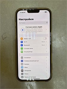 APPLE IPHONE 13 PRO MAX 256GB 890000603213
