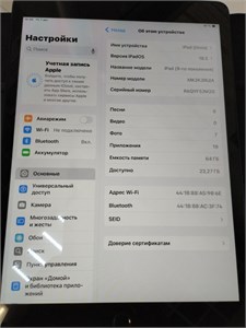 Планшет Apple iPad (9-го поколения) (2021) Wi-Fi 64 ГБ 890000639116