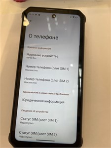 OUKITEL WP19 PRO 8/256 ГБ 890000637981