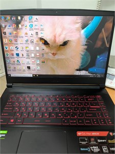 Ноутбук MSI i5 9300H GTX 1050 Ti 890000627617