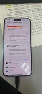 APPLE IPHONE 15 PRO MAX 256GB 890000642377