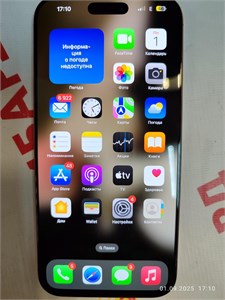 APPLE IPHONE 16 PRO MAX 256 ГБ 890000646440