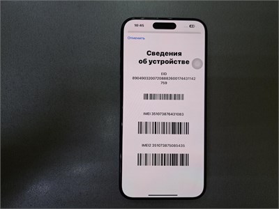 APPLE IPHONE 15 PRO MAX 256 ГБ 890000566382