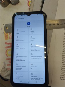 OUKITEL WP33 Pro 8/256 ГБ 890000645134