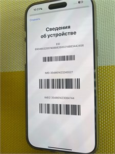 APPLE IPHONE 16 PRO MAX 256GB 890000647317 APPLE IPHONE 16 PRO MAX 256GB 890000647317