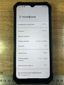 Blackview BV7100 6/128 890000648988