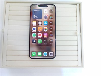 APPLE IPHONE 15 PRO MAX 256 ГБ 890000630696