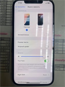 APPLE IPHONE 12 PRO MAX 256GB 890000654043