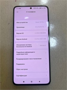XIAOMI 13T PRO 12/512GB 890000640956