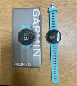 Часы Garmin Forerunner 55 890000664381