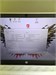 HP Pavilion 13-an0071ur 8145U 890000710187