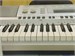 Casio WK-210 890000705486