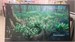 Телевизор 32" RAZZ C32HSS24 890000733242