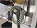 Мойка высокого давления KARCHER K2.110 890000744214