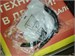 DEXP 40FCY2 890000763545